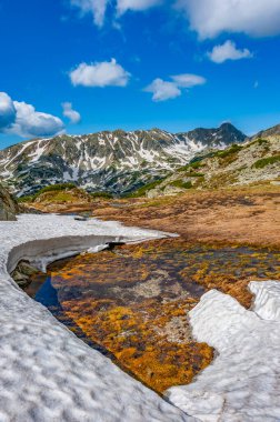 Retezat Dağları, Romanya ve Avrupa 'daki manzara ilkbahar manzarası