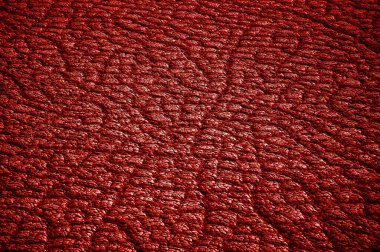 Crack soil on dry season Global warming. Cracked dried mud. Dry cracked earth background. Cracked ground and drought soil texture and dry mud.