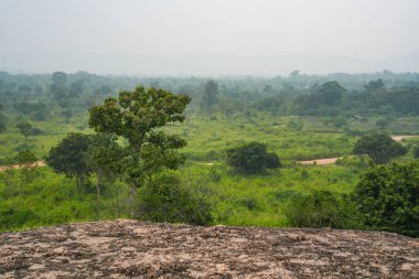 Habarana, Sri Lanka, Asya 'daki Hurulu Eco Park' ın manzaralı yağmurlu manzarası