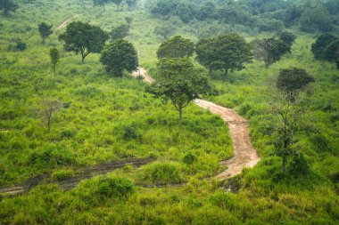 Habarana, Sri Lanka, Asya 'daki Hurulu Eco Park' ın manzaralı yağmurlu manzarası