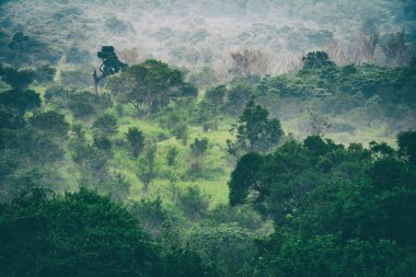 Habarana, Sri Lanka, Asya 'daki Hurulu Eco Park' ın manzaralı yağmurlu manzarası