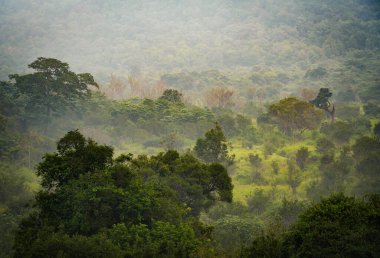 Habarana, Sri Lanka, Asya 'daki Hurulu Eco Park' ın manzaralı yağmurlu manzarası