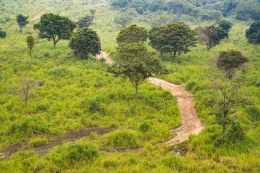 Habarana, Sri Lanka, Asya 'daki Hurulu Eco Park' ın manzaralı yağmurlu manzarası