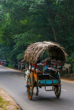 Sigiriya, Sri Lanka, Asya 'da at arabalı bir öküz.