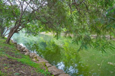 Sri Lanka, Asya 'daki Sigirya Kaya Kalesi etrafındaki su birikintileri ve kanallar