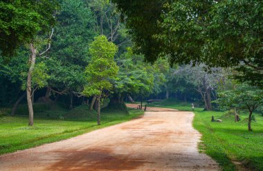 Sri Lanka, Asya 'daki Sigirya Dağı çevresindeki orman manzarası