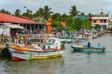Chillaw, Sri Lanka, Asya 'daki balık pazarı
