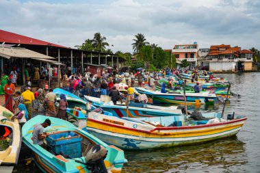 Chillaw, Sri Lanka, Asya 'daki balık pazarı