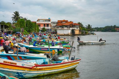Chillaw, Sri Lanka, Asya 'daki balık pazarı