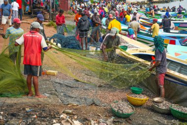 Chillaw, Sri Lanka, Asya 'daki balık pazarı