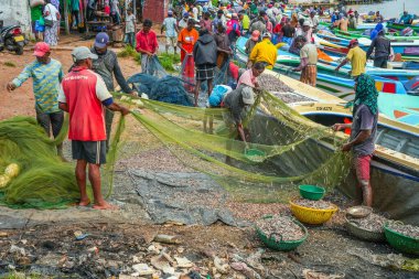Chillaw, Sri Lanka, Asya 'daki balık pazarı