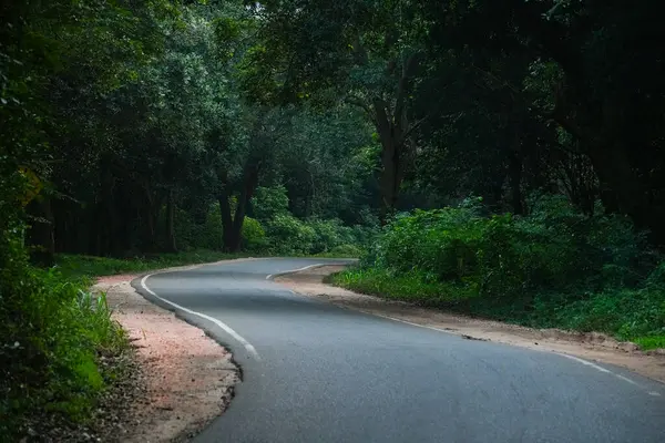 Sri Lanka, Asya 'daki Sigirya Dağı çevresindeki orman manzarası
