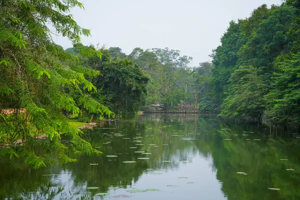 Sri Lanka, Asya 'daki Sigirya Kaya Kalesi etrafındaki su birikintileri ve kanallar