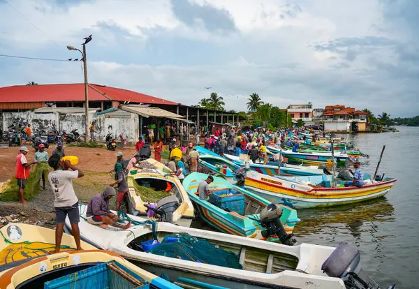 Chillaw, Sri Lanka, Asya 'daki balık pazarı