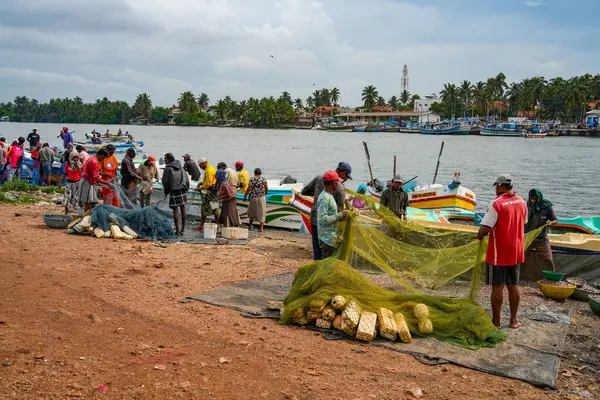 Chillaw, Sri Lanka, Asya 'daki balık pazarı