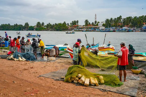 Chillaw, Sri Lanka, Asya 'daki balık pazarı