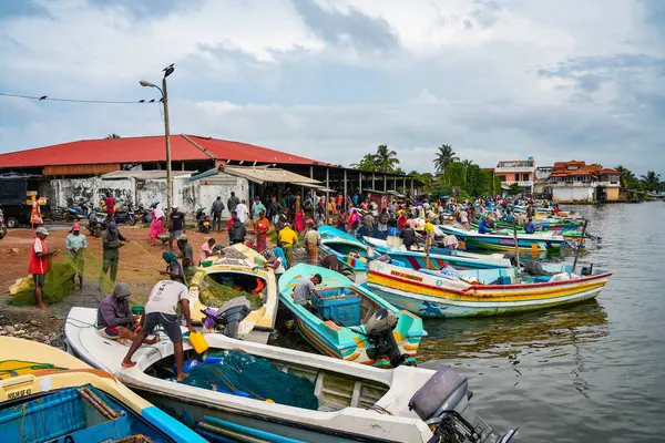 Chillaw, Sri Lanka, Asya 'daki balık pazarı