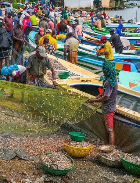 Chillaw, Sri Lanka, Asya 'daki balık pazarı