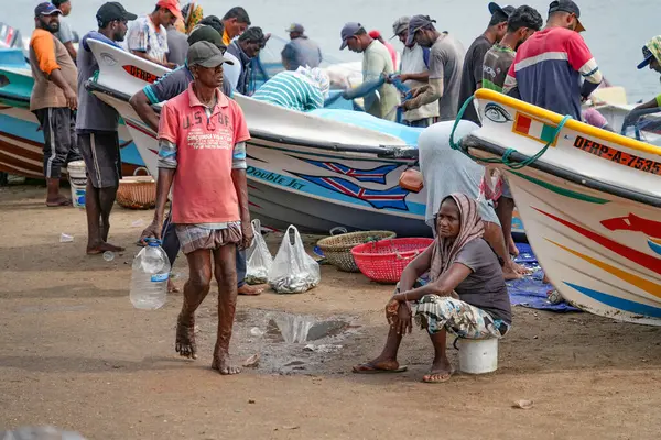Chillaw, Sri Lanka, Asya 'daki balık pazarı
