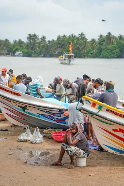 Chillaw, Sri Lanka, Asya 'daki balık pazarı