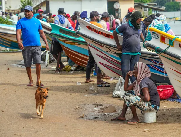Chillaw, Sri Lanka, Asya 'daki balık pazarı