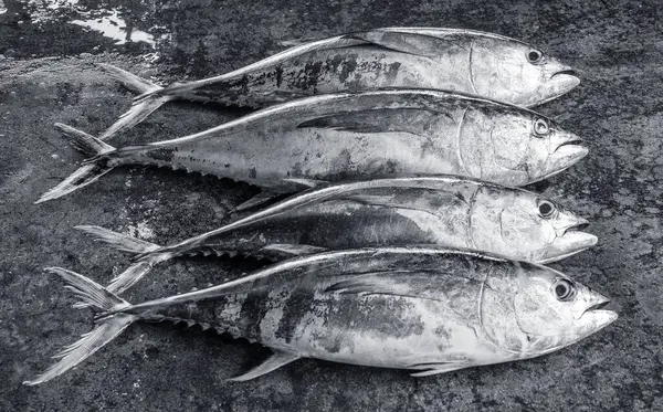 Sri Lanka 'daki deniz balığı pazarı. Sokak pazarı. Taze balık satışı. Taze balık. Balık dükkanı. Restoran için ürünler. Balıkçılık. Asya mutfağı. Deniz ürünleri. Sağlıklı beslenme. Balıkçı. Yakala. Taze yemek.