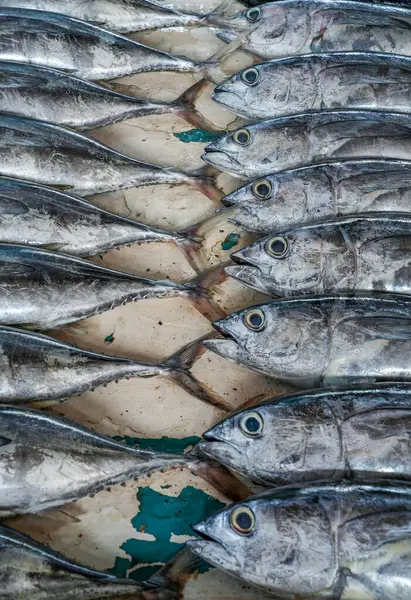Sri Lanka 'daki deniz balığı pazarı. Sokak pazarı. Taze balık satışı. Taze balık. Balık dükkanı. Restoran için ürünler. Balıkçılık. Asya mutfağı. Deniz ürünleri. Sağlıklı beslenme. Balıkçı. Yakala. Taze yemek.