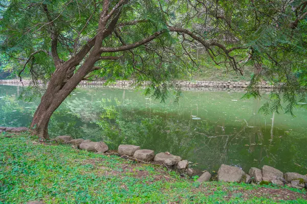 Sri Lanka, Asya 'daki Sigirya Kaya Kalesi etrafındaki su birikintileri ve kanallar