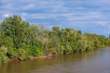 Lunca Muresului Ulusal Parkı, Romanya ve Avrupa 'da manzara manzarası