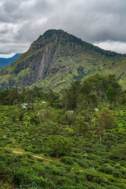 Ella, Sri Lanka, Asya 'daki Little Adams tepesinden panoramik manzara