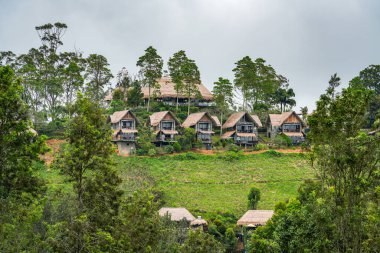 Ella, Sri Lanka, Asya 'daki Little Adams tepesinden panoramik manzara