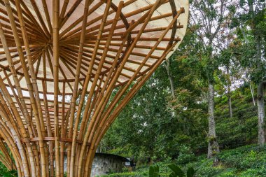 Sri Lanka, Asya 'daki bambu ahşap soyut yapı