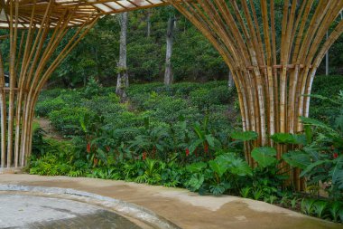 Sri Lanka, Asya 'daki bambu ahşap soyut yapı