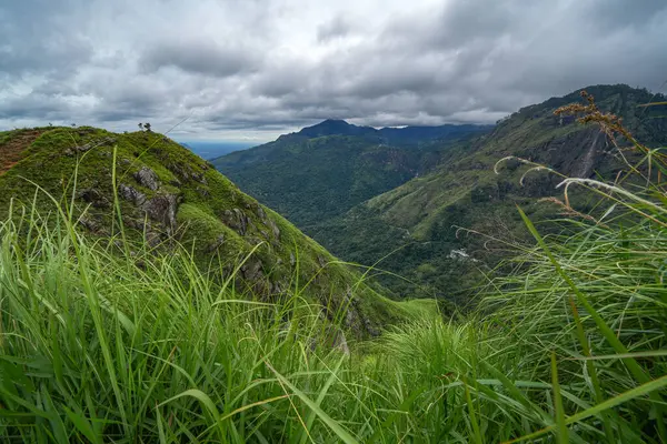 Ella, Sri Lanka, Asya 'daki Little Adams tepesinden panoramik manzara