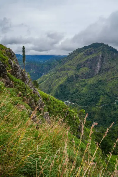 Ella, Sri Lanka, Asya 'daki Little Adams tepesinden panoramik manzara