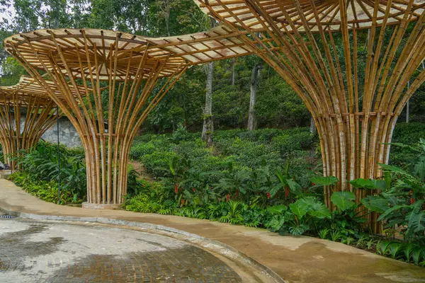 Sri Lanka, Asya 'daki bambu ahşap soyut yapı