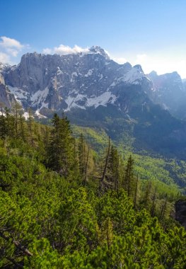 Julian Alpleri, Avrupa 'nın manzaralı yaz manzarası