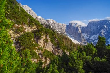 Julian Alpleri, Avrupa 'nın manzaralı yaz manzarası