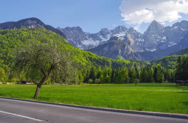 Julian Alpleri, Avrupa 'nın manzaralı yaz manzarası