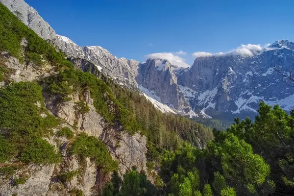 Julian Alpleri, Avrupa 'nın manzaralı yaz manzarası