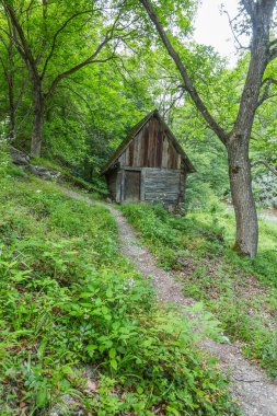 Cerna Vadisi, Romanya ve Avrupa 'da tahıl öğütmek için eski su değirmeni