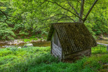 Cerna Vadisi, Romanya ve Avrupa 'da tahıl öğütmek için eski su değirmeni