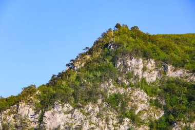 Mehedinti Dağları, Romanya ve Avrupa 'daki Cerna Vadisi' nde yaz manzarası