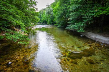 Mehedinti Dağları, Romanya ve Avrupa 'daki Cerna Vadisi' nde yaz manzarası