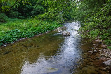 Mehedinti Dağları, Romanya ve Avrupa 'daki Cerna Vadisi' nde yaz manzarası