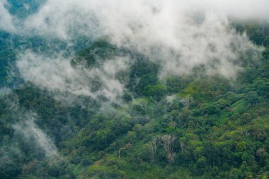 Sri Lanka 'nın ilk çok dinli merkezi olan Ambuluwawa Kulesi Kandy ve Gampola, Sri Lanka, Asya yakınlarındaki ıssız bir dağın tepesine inşa edilmiştir.