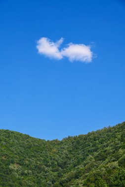  Yeşil dağ ormanının üzerinde yalnız beyaz bir bulut. Yaz ormanı manzarası. Mavi gökyüzünde beyaz bulut