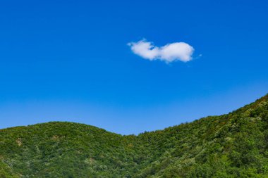  Yeşil dağ ormanının üzerinde yalnız beyaz bir bulut. Yaz ormanı manzarası. Mavi gökyüzünde beyaz bulut