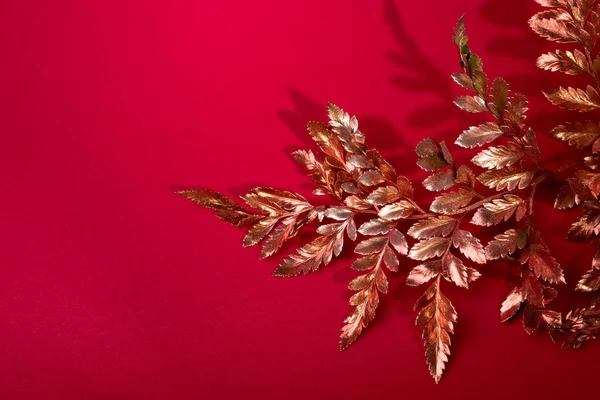Złoty Oddział Fern Roślin Czerwonym Tle Dobre Nowy Rok Boże — Zdjęcie stockowe