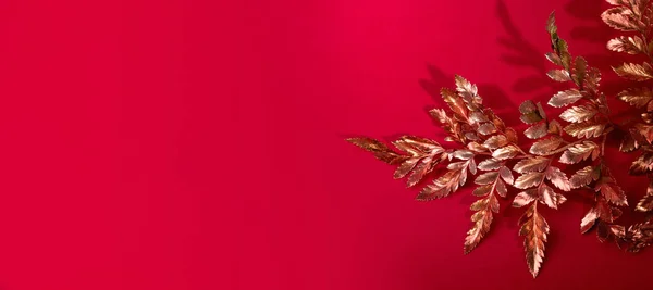 Golden Branch Fern Plant Tegen Rode Achtergrond Goed Voor Nieuwjaar — Stockfoto